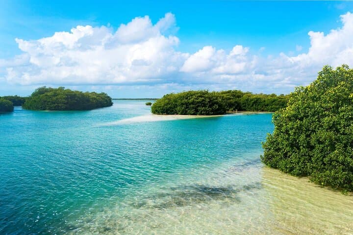 Sian Ka'an Biosphere Reserve Day Trip from Tulum: Boat & Snorkel to Punta Allen photo 3
