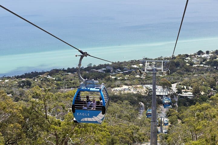 Mornington Peninsula Scenic Tour: Chairlift Ride, Beach Boxes, Winery Lunch & Chocolate Tasting