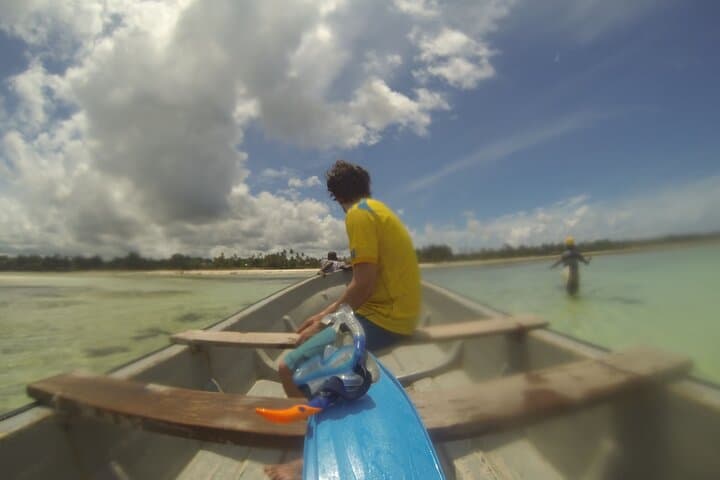 Ethical Dolphin Tour and Island Picnic in Kizimkazi, Zanzibar