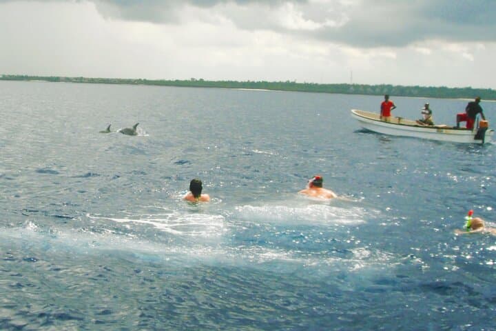 Ethical Dolphin Tour and Island Picnic in Kizimkazi, Zanzibar photo 4