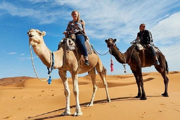 Morocco 9-Day Desert & Cities Circuit — Casablanca to Marrakech via Merzouga photo 3