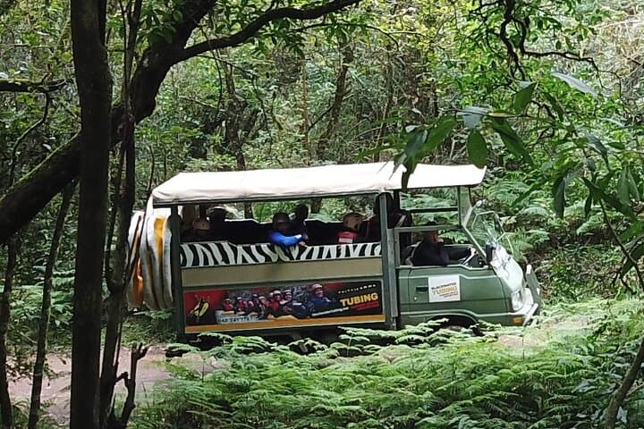 Blackwater Tubing Green Route: Storms River SUP & Tube Combo in Tsitsikamma photo 3