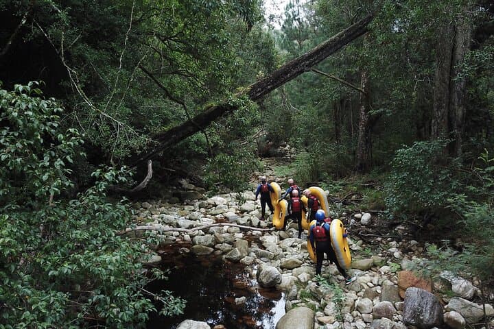 Blackwater Tubing Green Route: Storms River SUP & Tube Combo in Tsitsikamma photo 6