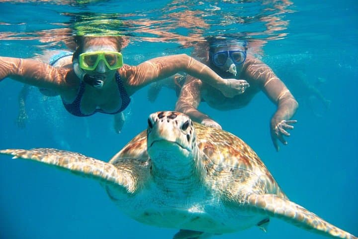 Full-Day Tulum Adventure: ATV Trails, Zipline Canopy, Cenote Cave & Akumal Turtle Swim photo 3