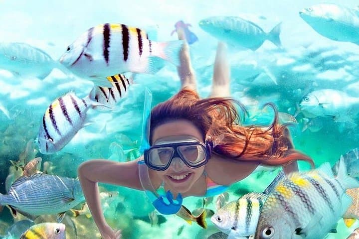 Riviera Maya Full-Day: ATV, 4 Ziplines, Cenote Swim & Yalkú Snorkel photo 1