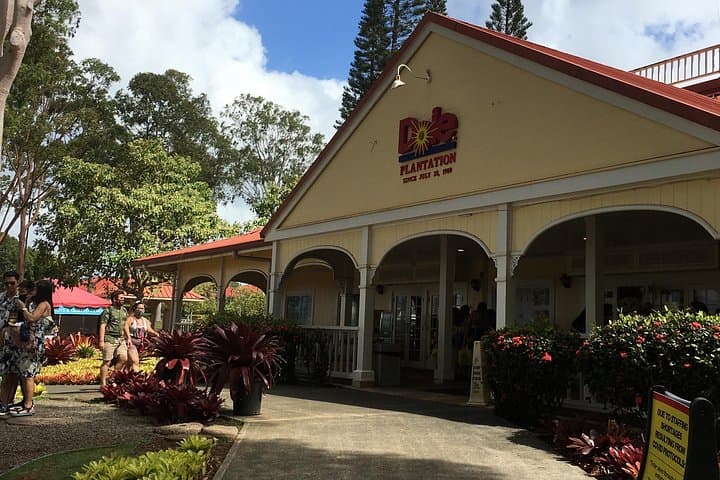 North Shore Oahu Day Tour: Waterfalls, Turtles, Dole & Haleiwa in One Day photo 5