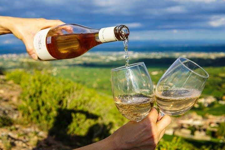 Stellenbosch Cap Classique Tour: Small-Group MCC Tastings & Cellar Walks photo 5