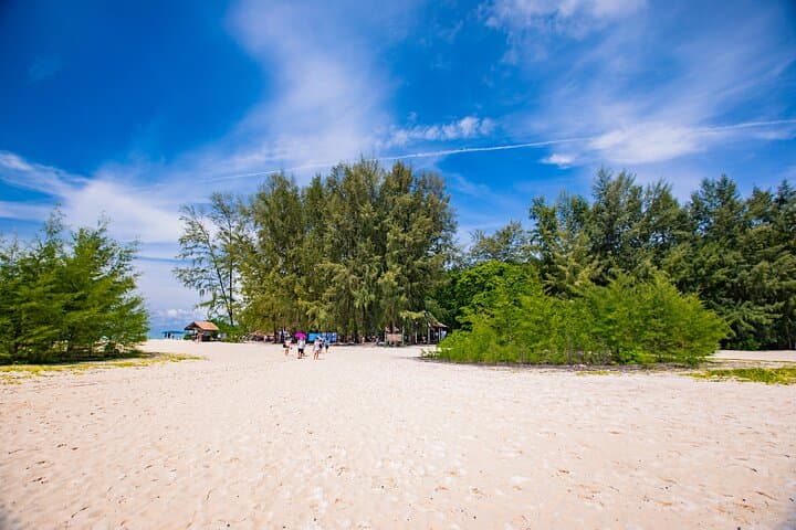 Speedboat to Phi Phi & Bamboo Island: Full-Day Snorkel and Maya Bay Tour from Phuket photo 5