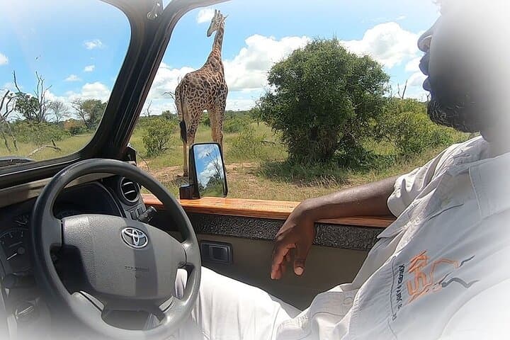 Private Kruger Park Safari: 3-Night Middle Kruger Game Drive Experience photo 4