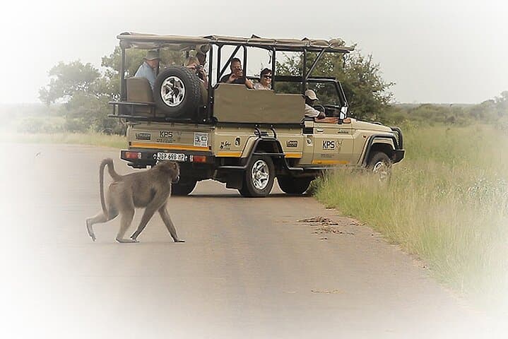 Private Kruger Park Safari: 3-Night Middle Kruger Game Drive Experience