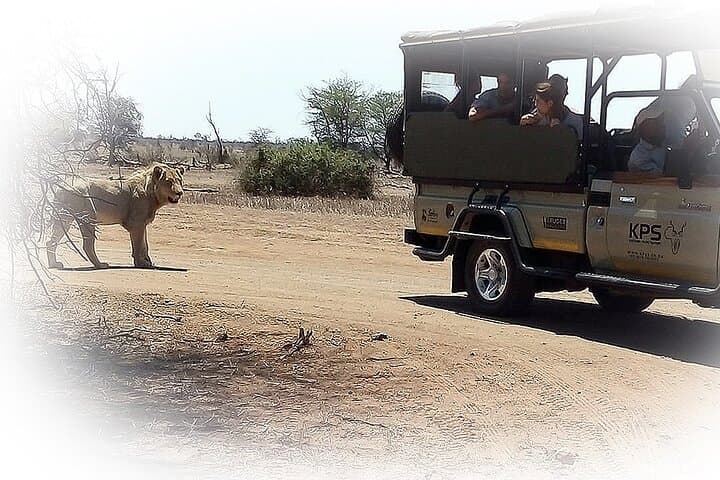 Private Kruger Park Safari: 3-Night Middle Kruger Game Drive Experience photo 6