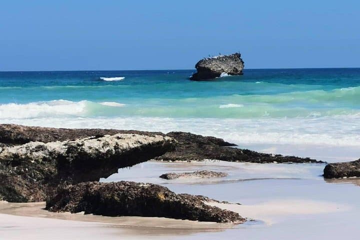 West Salalah Coastal 4WD: Eftilqout, Mughsail & Al Fazayah Half-Day photo 4
