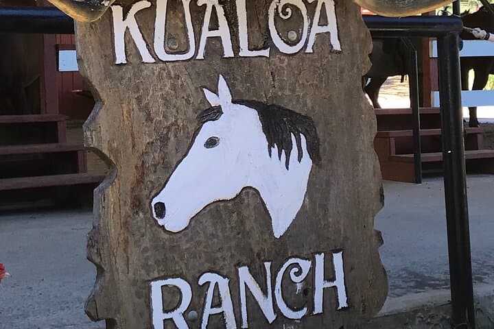 Private Oahu Circle Island Tour — Full-Day Small-Group Adventure Around Oahu photo 3