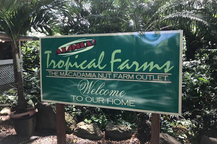 Private Oahu Circle Island Tour — Full-Day Small-Group Adventure Around Oahu photo 6