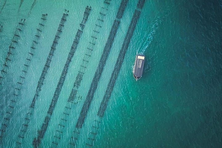 Coffin Bay Day Tour: Oyster Farm Cruise, National Park & Wine Tasting