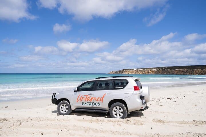Port Lincoln Day Tour: Coastal Wildlife, Cliffs & Fresh Seafood photo 6
