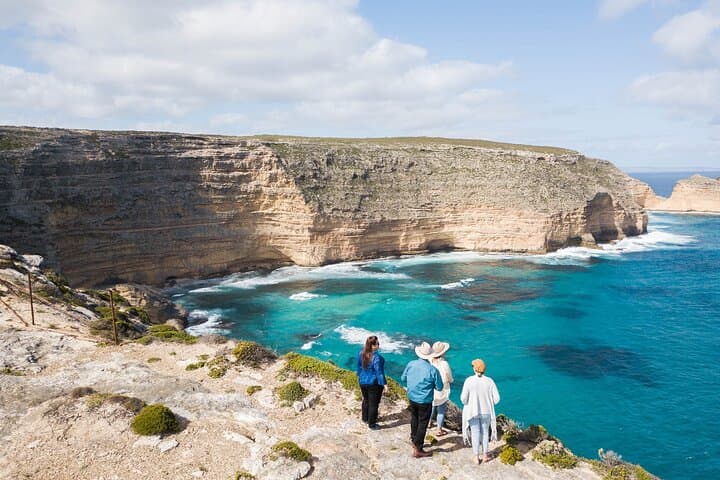 Port Lincoln Day Tour: Coastal Wildlife, Cliffs & Fresh Seafood