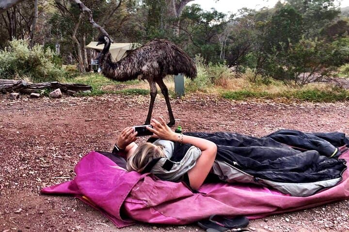 6-Day Esperance & Margaret River Adventure Tour — Beaches, Karri Forests & Swag Camping photo 5
