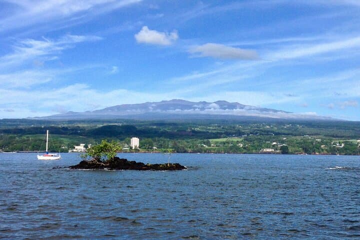 Discover Hawaii Volcanoes National Park and Hilo’s Natural Wonders on a Small Group Tour photo 4