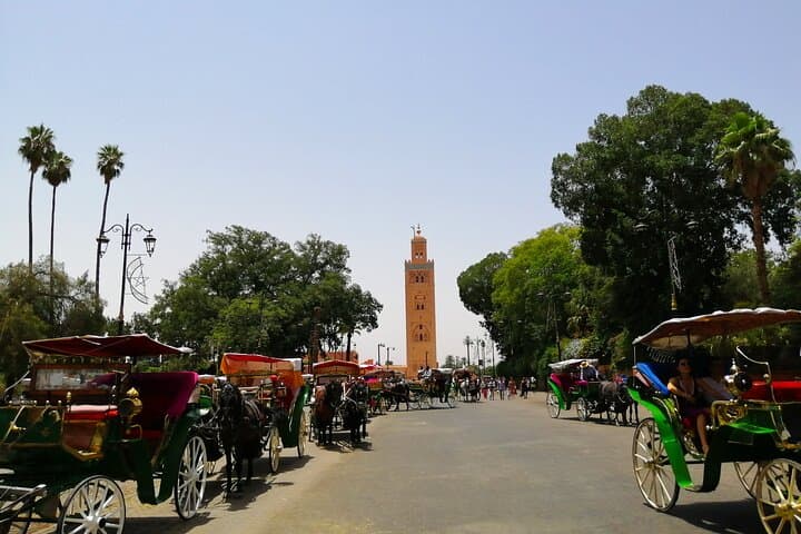 11-Day Morocco Desert Trekking: Erg Chebbi Camels, Nomad Camps & Imperial Cities photo 6