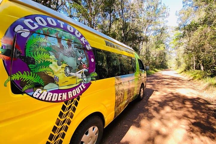 Knysna Scootours: Downhill Forest Scooter Adventure in the Garden Route photo 4