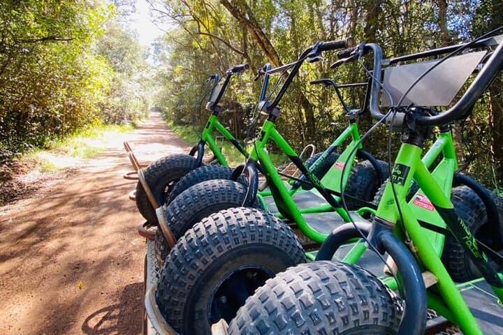 Knysna Scootours: Downhill Forest Scooter Adventure in the Garden Route photo 5