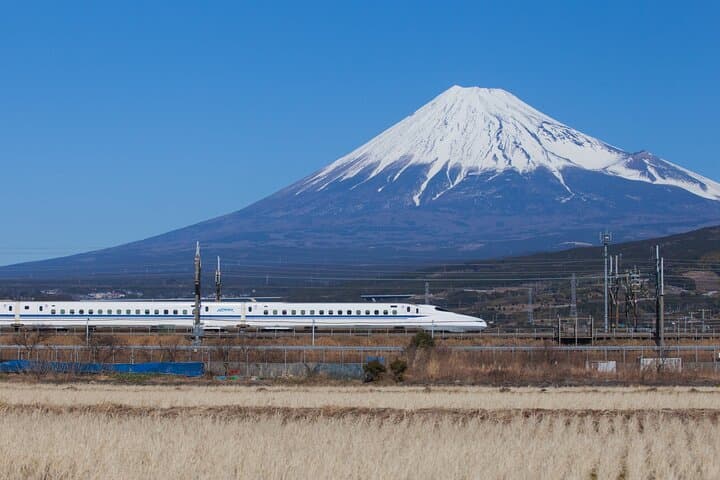 Mt. Fuji and Hakone Day Trip From Tokyo — Ropeway, Owakudani & Lake Ashi Cruise