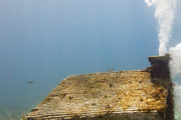 MUSA Underwater Museum & Manchones Reef: 2-Tank Dive for Certified Divers photo 6