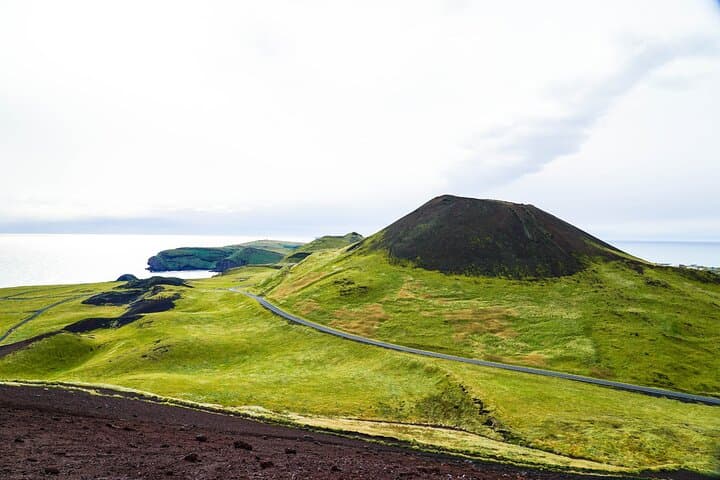Vestmannaeyjar Private Day Tour: Heimaey Volcano, Puffins & Coastal Views photo 3