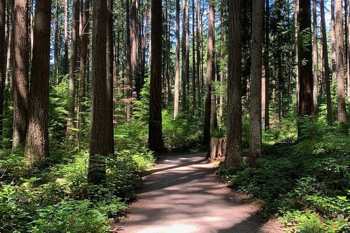 E‑Bike the Vancouver Waterfront: Stanley Park, Granville Island & UBC Guided Ride photo 2