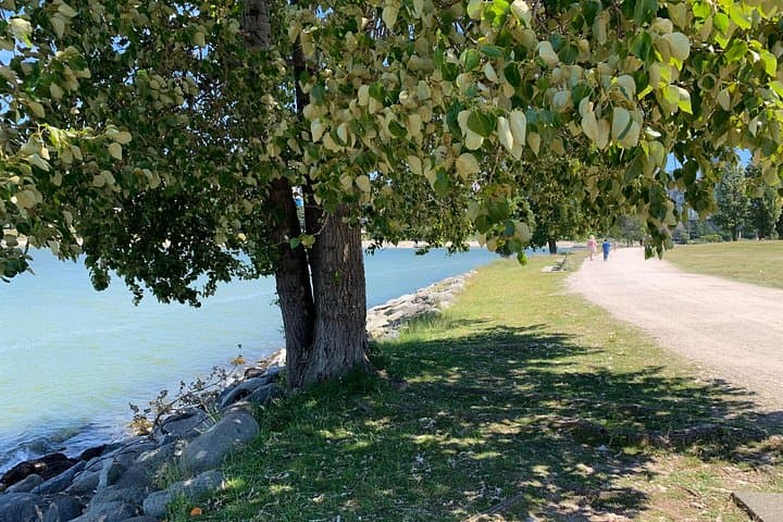 E‑Bike the Vancouver Waterfront: Stanley Park, Granville Island & UBC Guided Ride photo 3