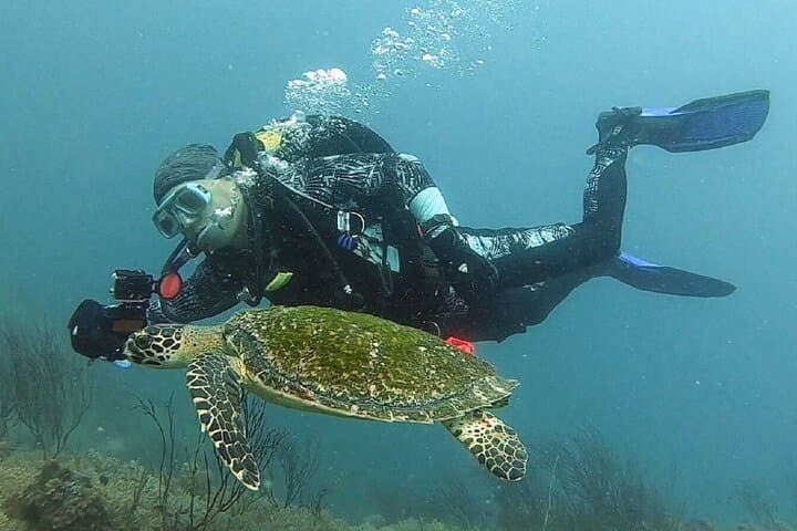PADI Open Water Diver Course Koh Tao — 3-Day Certification at Scuba Birds photo 5