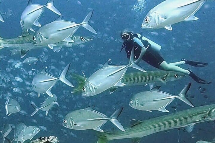 PADI Open Water Diver Course Koh Tao — 3-Day Certification at Scuba Birds photo 6