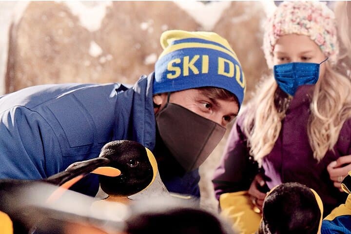 Ski Dubai Full-Day Snow Park Access & Mountain Thriller Ride in Dubai photo 4
