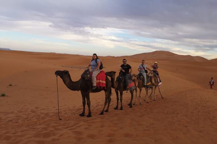 3-Day Private Sahara Tour from Marrakech to Merzouga and Fes photo 3