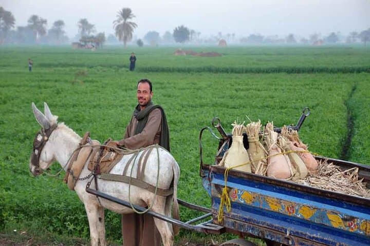 Half-Day Cairo Countryside Farm Tour & Traditional Breakfast with a Farming Family photo 5