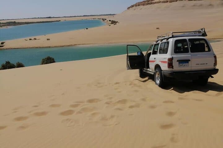 Private 2-Day White Desert & Bahariya Oasis Safari from Cairo photo 4