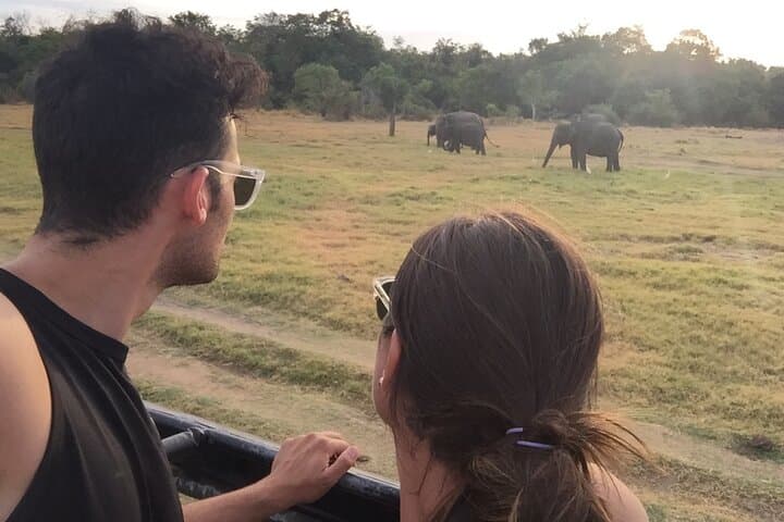 Kandy to Sigiriya Day Trip: Dambulla Caves, Lion Rock & Minneriya Safari