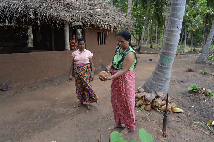 Kandy to Sigiriya Day Trip: Dambulla Caves, Lion Rock & Minneriya Safari photo 6