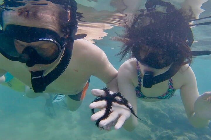 Beginner Snorkeling Tour at Magic Island Lagoon — Honolulu Introductory Reef Experience photo 6