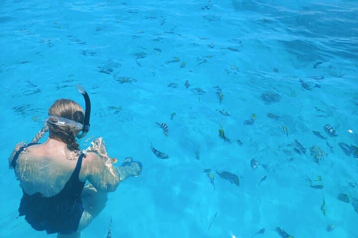Private Dolphin Tour and Snorkeling at Mnemba Island Reef, Zanzibar photo 5