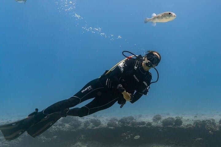 Private Two‑Tank SCUBA Charter from Waikiki — Dive Oahu’s Marine Life photo 4