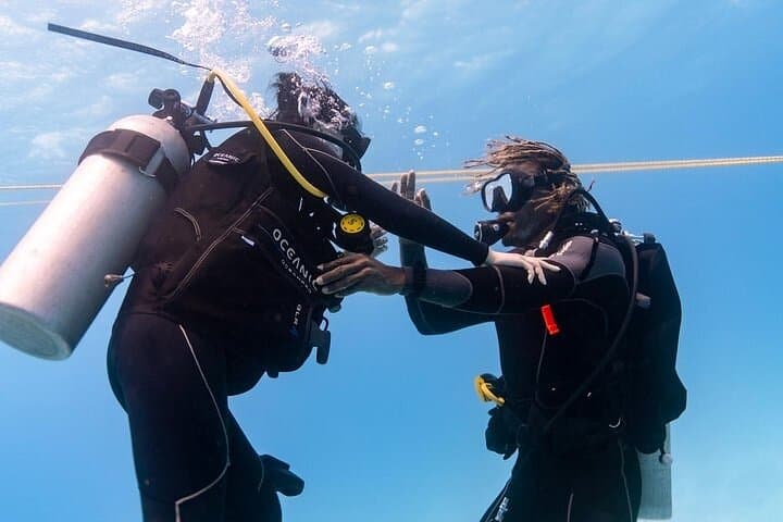 Waikiki 2-Tank Beginner Scuba: Certified PADI Dives in Oahu's Shallow Reefs photo 2
