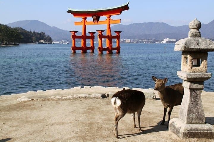 Hiroshima and Miyajima One-Day Private Tour from Kyoto or Osaka photo 2