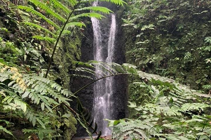 Afareaitu Waterfall Half-Day Hike: Cultural Valley Walk on Moorea photo 2