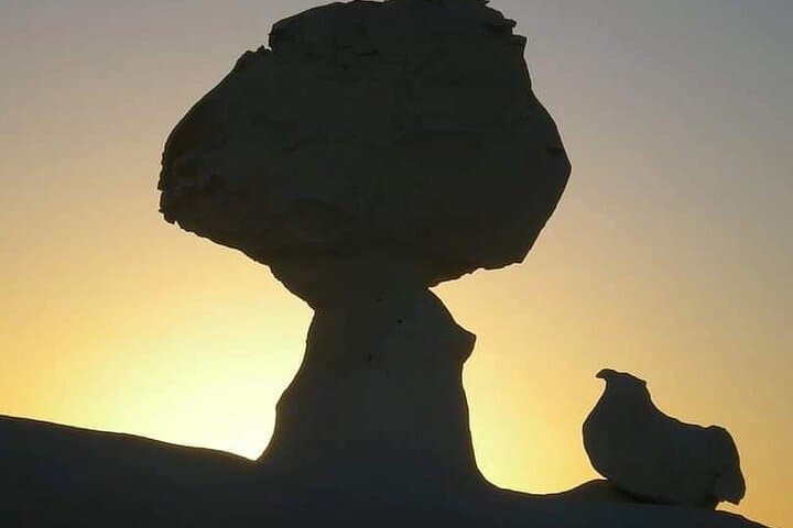 Overnight Camping in Egypt's White and Black Deserts from Cairo photo 6