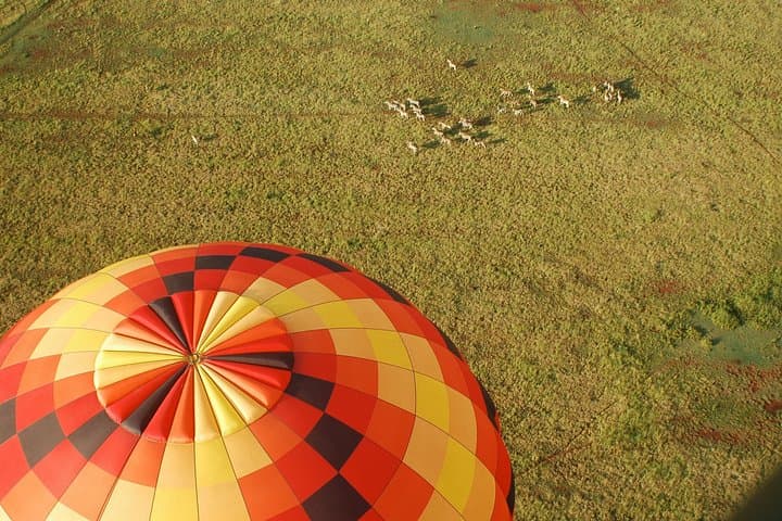 Hot-Air Balloon Safari Over the Cradle of Humankind photo 3