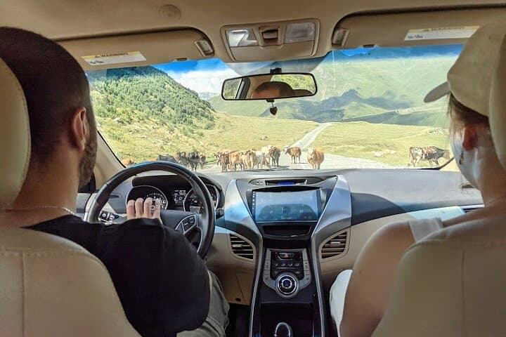 Day Trip to Kazbegi & Gergeti Trinity from Tbilisi — Gudauri, Ananuri & Mtskheta