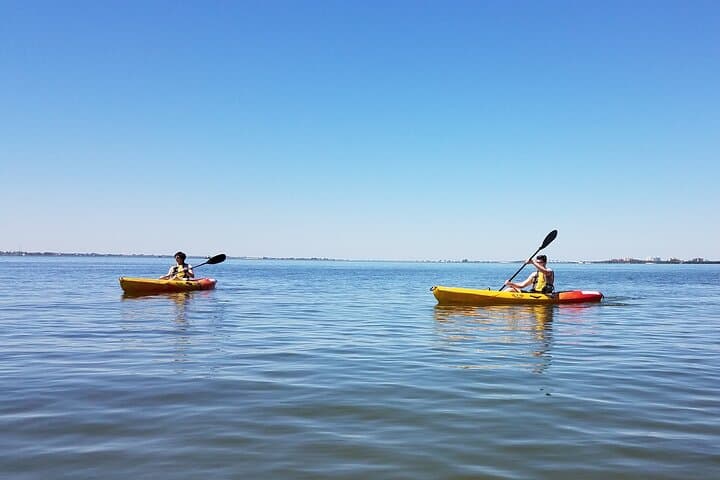 Sunset Kayak Tour in Pelican Bay — Fort Myers Beach Mangrove Paddle photo 2