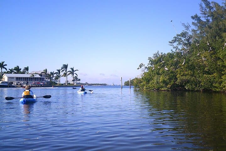 Sunset Kayak Tour in Pelican Bay — Fort Myers Beach Mangrove Paddle photo 3
